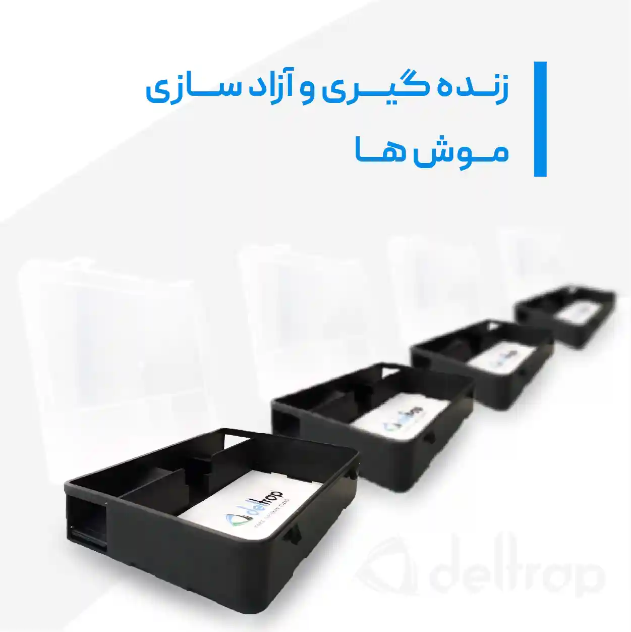 تصویر واقعی موش