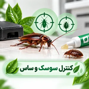 کنترل سوسک و ساس