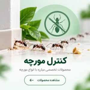 کنترل مورچه